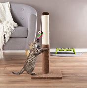 Image result for Cat Scratching Products