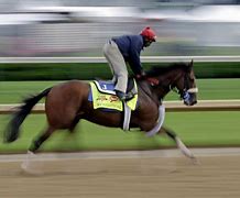 Image result for Kentucky Horse Racing