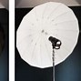 Image result for Photography Grid vs Umbrella