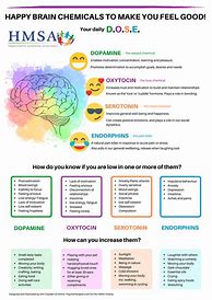 Image result for Happy Brain Chemicals Word Search
