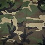 Image result for Camouflage Images