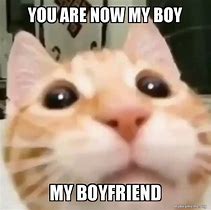 Image result for Cat Boyfriend Memes
