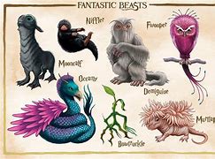Image result for Fantastic Beasts Mythical Creatures