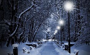 Image result for Winter Park Night