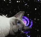 Image result for Animal in Galaxy GIF