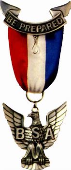 Image result for Eagle Scout Medal