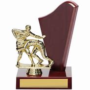 Image result for Perpetual Trophy
