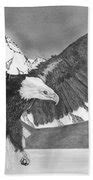 Image result for Bald Eagle Soaring Drawing