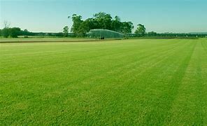 Image result for Turf Grass Farms Near Me