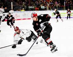 Image result for Ice Hockey Field