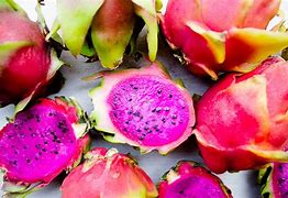 Image result for Exotic Dragon Fruit