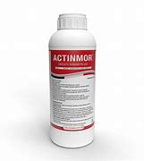 Image result for actinomerr�a
