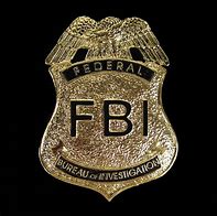 Image result for US FBI Logo