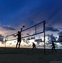 Image result for Outdoor Backyard Volleyball