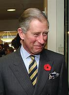 Image result for Prince Charles Hair