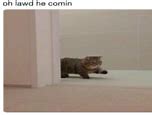 Image result for OH Lawd He Comin Chart