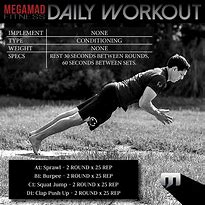 Image result for Daily Workout Exercises