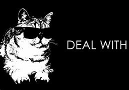 Image result for Deal with It Cat Meme