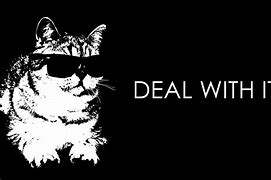 Image result for Deal with It Cat