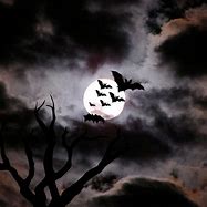 Image result for Halloween Bats Background