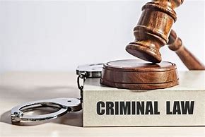 Image result for Criminal Law
