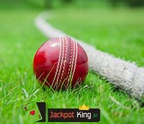 Image result for Online Cricket Betting Sites