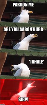Image result for Seagull Inhale Meme