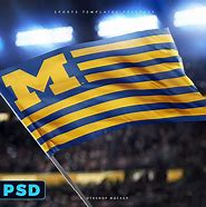 Image result for Sports Flags