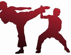 Image result for Martial Arts HD Wallpaper