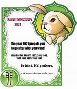 Image result for 1999 Year of the Rabbit