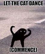 Image result for Cat Dance Meme