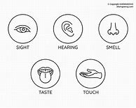 Image result for All 7 Senses