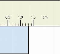 Image result for How Long Is 1 Centimeter