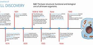 Image result for The Cell Biology Timeline