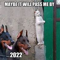 Image result for Happy New Year Dog Meme