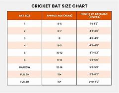 Image result for Cricket Size Chart Boys