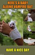 Image result for Baby Anime Bat