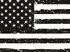 Image result for Black and White American Flag Design