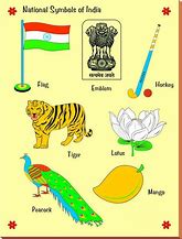 Image result for National Symbols of India