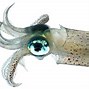 Image result for Octopus Looks