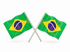 Image result for Brazil Flag Meme