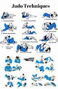Image result for BJJ All Positions