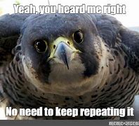 Image result for Keep Repeating Meme