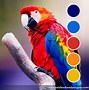 Image result for Red Blue Color Combination