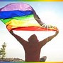 Image result for LGBT Ally Flag Mood Board
