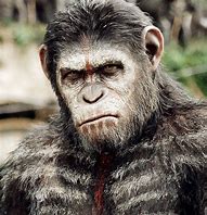 Image result for Caesar Ape Movie Cover