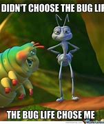 Image result for Our Bugs Meme