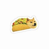 Image result for Doge Taco