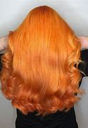 Image result for Rose Gold Professional Hair Color