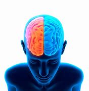 Image result for Brain Working Out Clip Art